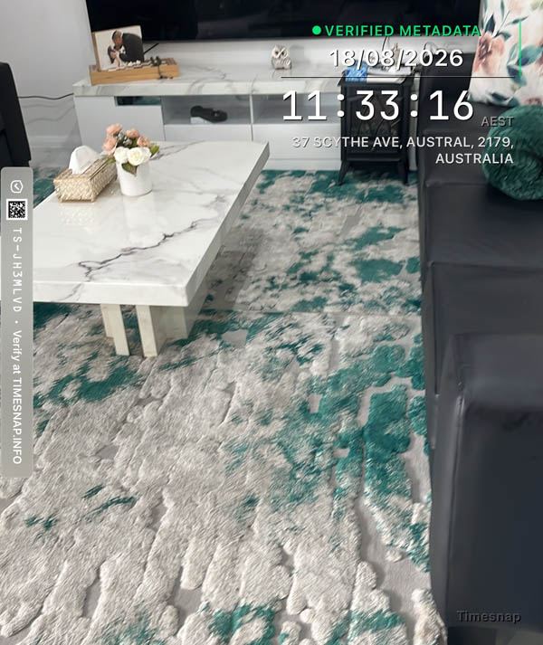 Living room rug after cleaning