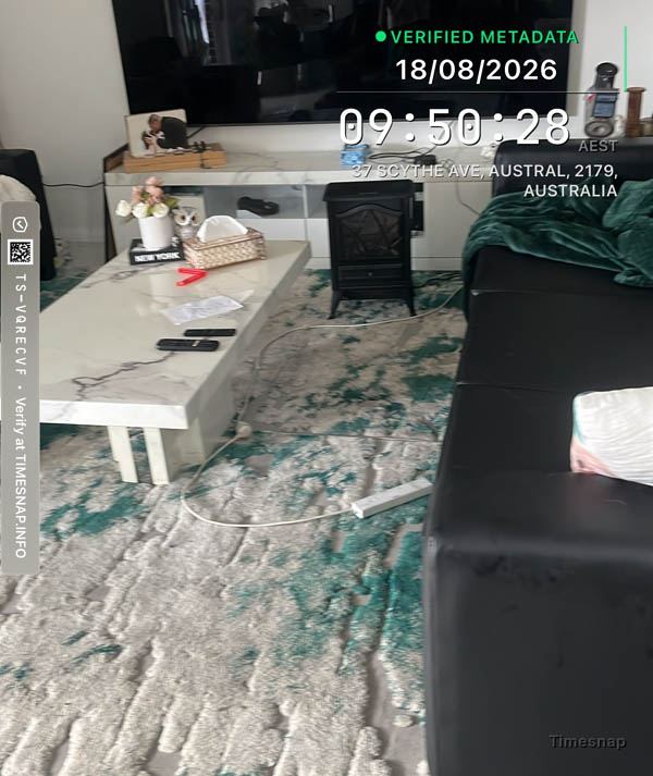 Living room rug before cleaning