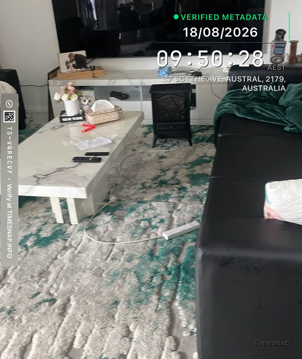 Living room rug before cleaning